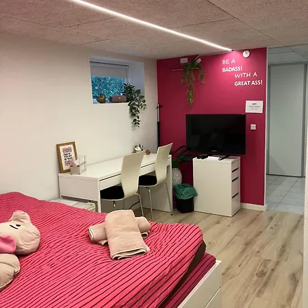 Habitación en casa particular Hyggeligt Vaerelse, Egen Indgang & Gode Faciliteter
