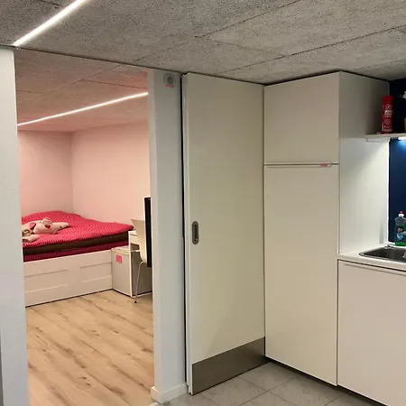 Hyggeligt Vaerelse, Egen Indgang & Gode Faciliteter * Vejle